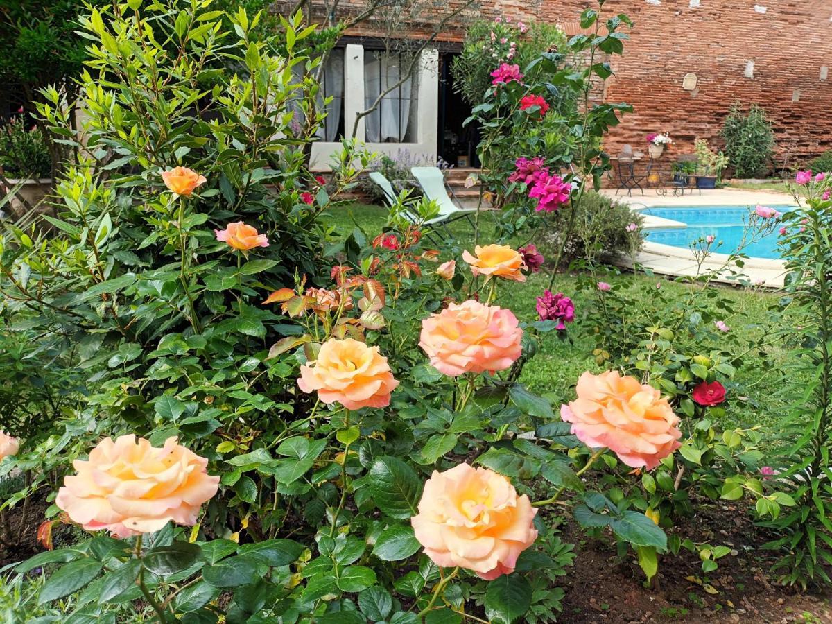 Bed and Breakfast L'Arche De Moissac Esterno foto